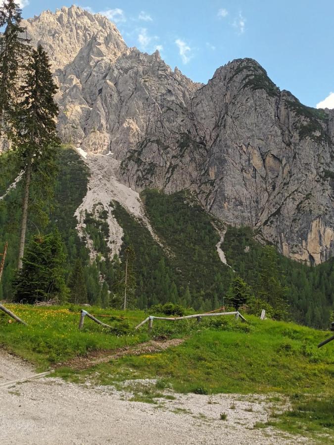 Appartamenti Patrizia San Pietro di Cadore Buitenkant foto