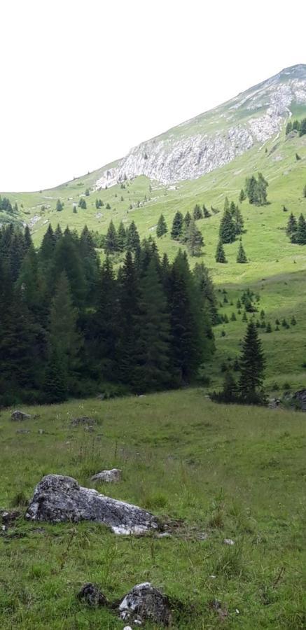 Appartamenti Patrizia San Pietro di Cadore Buitenkant foto