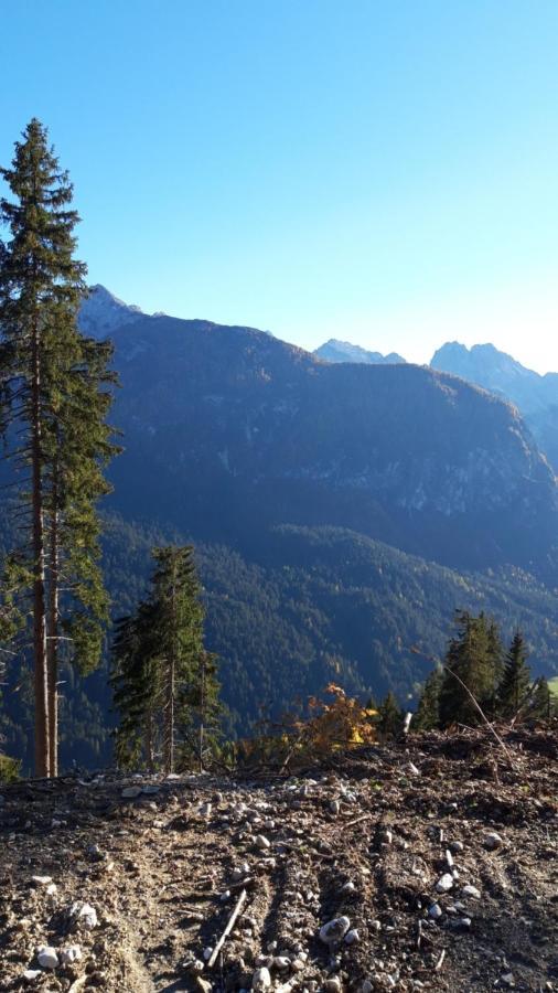 Appartamenti Patrizia San Pietro di Cadore Buitenkant foto