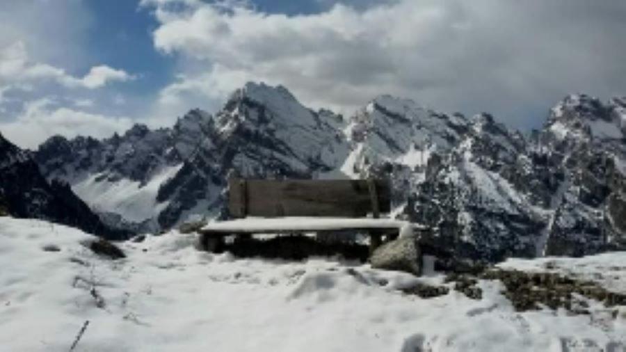 Appartamenti Patrizia San Pietro di Cadore Buitenkant foto