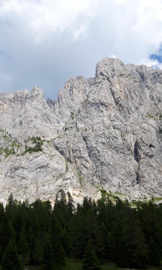 Appartamenti Patrizia San Pietro di Cadore Buitenkant foto