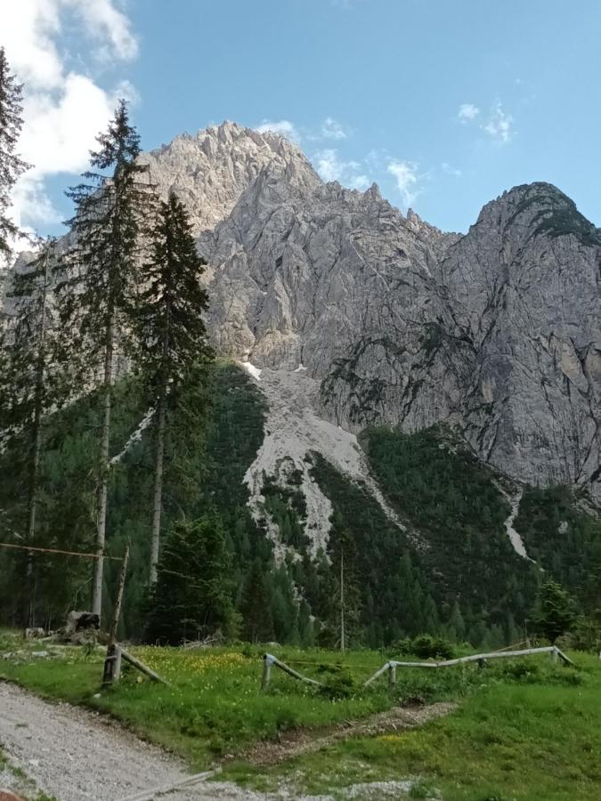 Appartamenti Patrizia San Pietro di Cadore Buitenkant foto