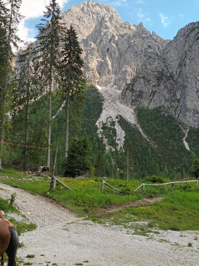 Appartamenti Patrizia San Pietro di Cadore Buitenkant foto