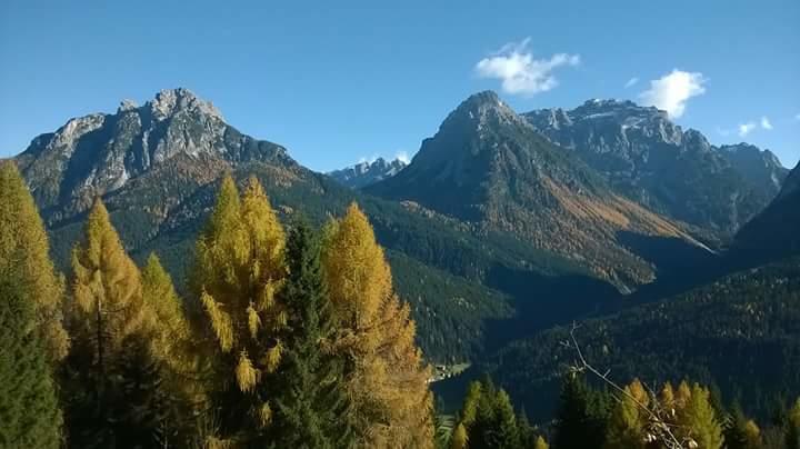 Appartamenti Patrizia San Pietro di Cadore Kamer foto