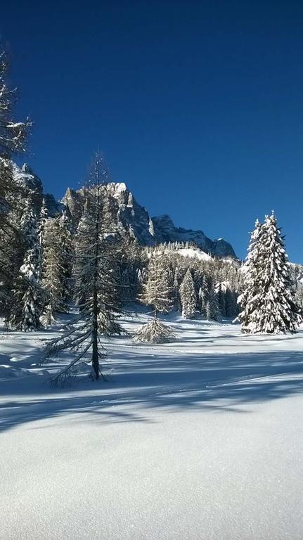 Appartamenti Patrizia San Pietro di Cadore Buitenkant foto