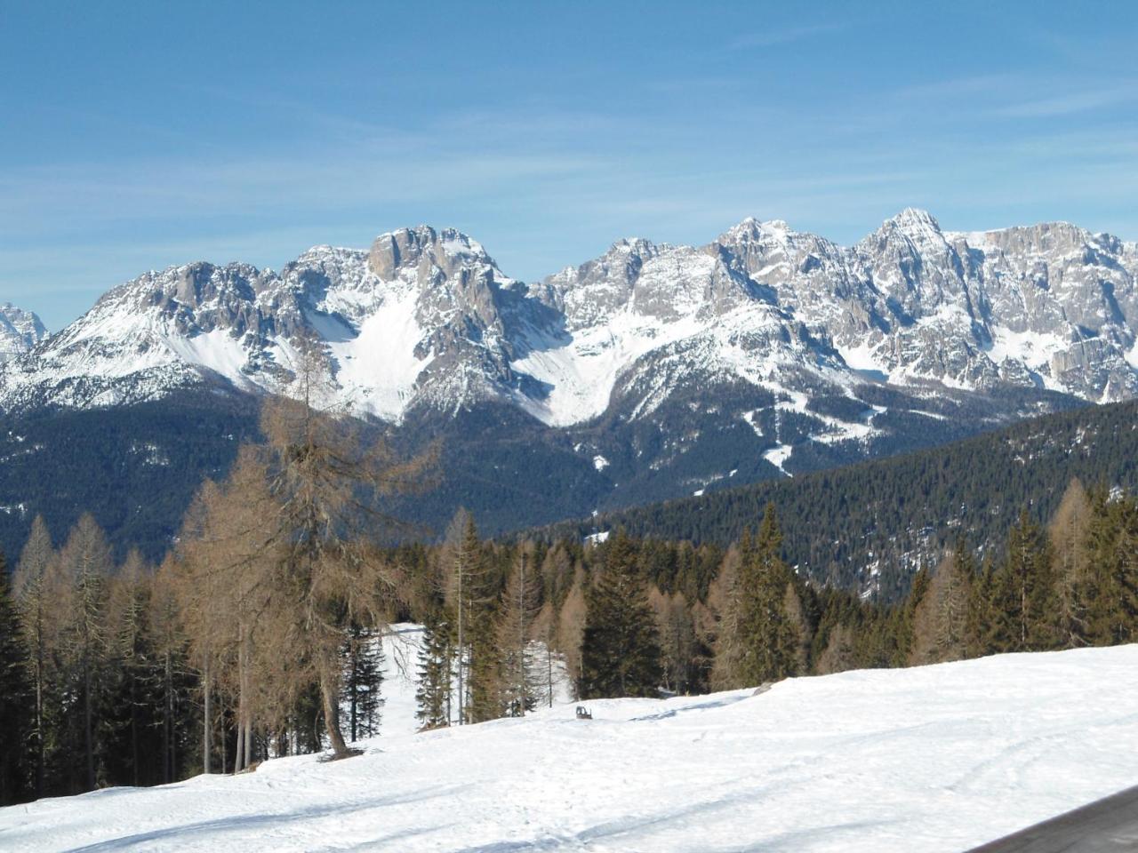 Appartamenti Patrizia San Pietro di Cadore Buitenkant foto