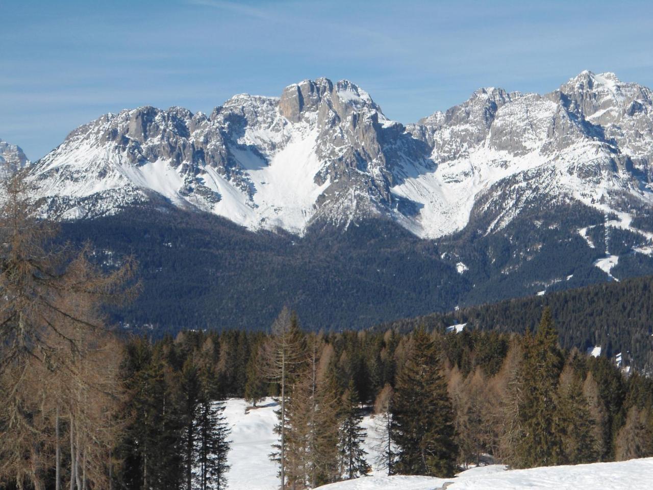 Appartamenti Patrizia San Pietro di Cadore Buitenkant foto