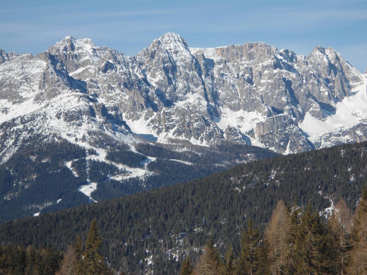 Appartamenti Patrizia San Pietro di Cadore Buitenkant foto