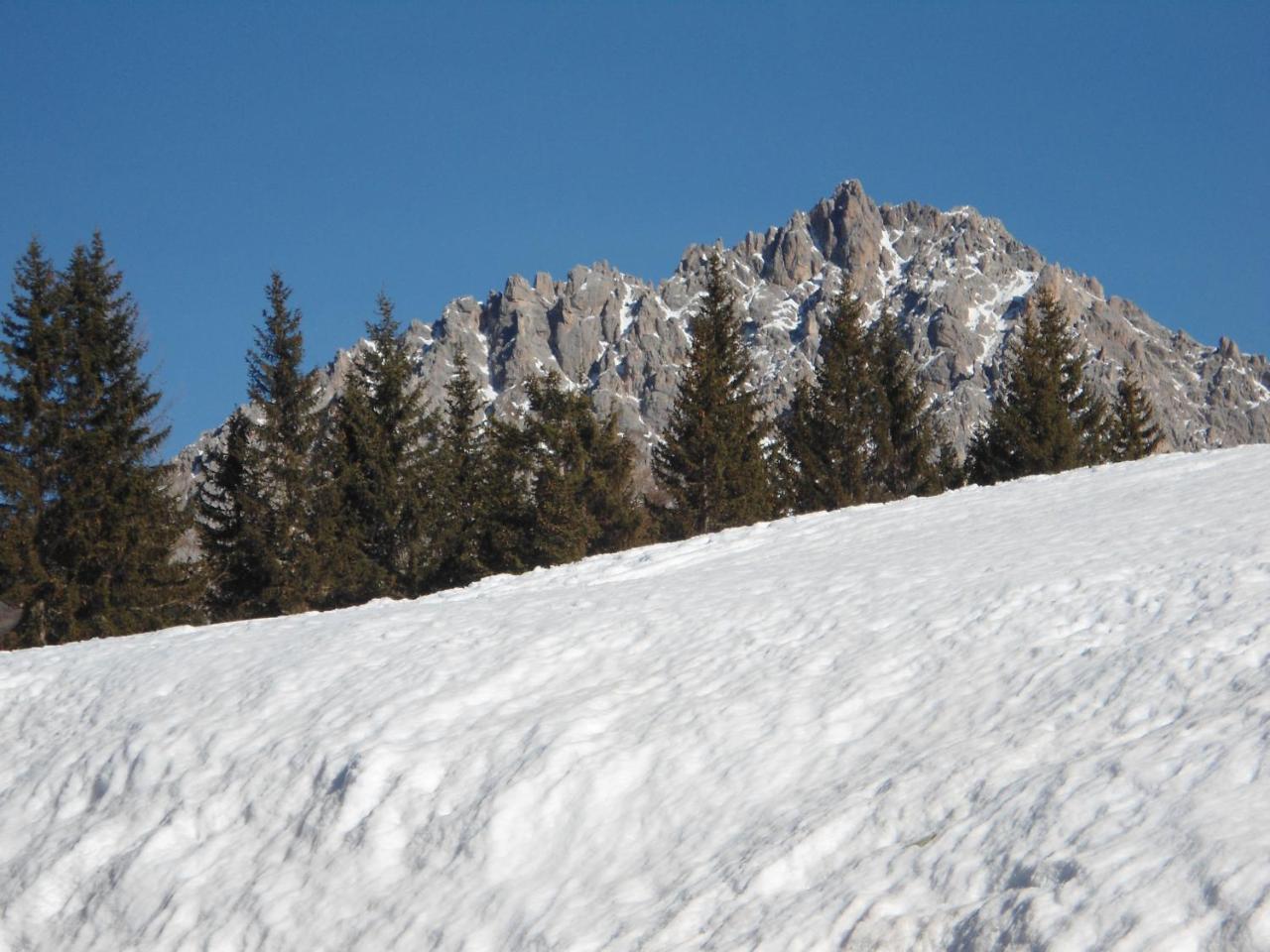 Appartamenti Patrizia San Pietro di Cadore Buitenkant foto